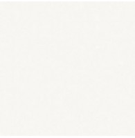 ДВП 2850х2070х3,0мм Белый Pfleiderer D2201